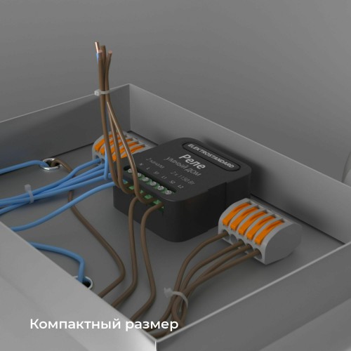 Умное двухканальное реле 76007/00 Умное двухканальное реле 76007/00