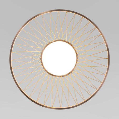 Настенный светильник с плафоном 40019/1