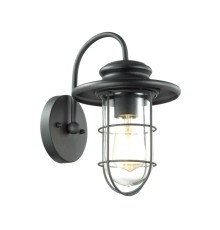 4171/1W NATURE ODL19 747 черный/прозрачный Уличный настенный светильник IP44 E27 1*60W HELM